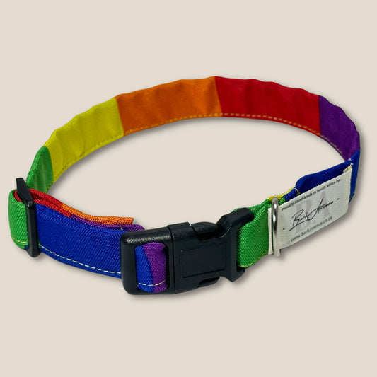 Collar | Rainbow Pride